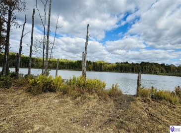 Bowling Green Road, Caneyville, Kentucky 42721, ,2 BathroomsBathrooms,For Sale,Bowling Green Road,HK24004072