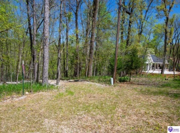 Long Needle Road, Brandenburg, Kentucky 40108, ,For Sale,Long Needle Road,HK24004077