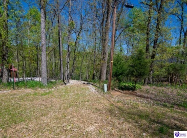 Long Needle Road, Brandenburg, Kentucky 40108, ,For Sale,Long Needle Road,HK24004077