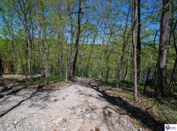 Long Needle Road, Brandenburg, Kentucky 40108, ,For Sale,Long Needle Road,HK24004077