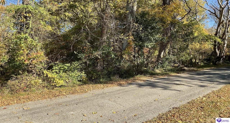 Sunset Drive, Hardinsburg, Kentucky 40143, ,For Sale,Sunset Drive,HK24004085