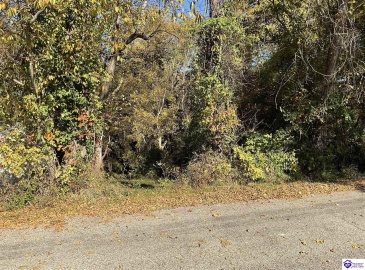 Sunset Drive, Hardinsburg, Kentucky 40143, ,For Sale,Sunset Drive,HK24004085