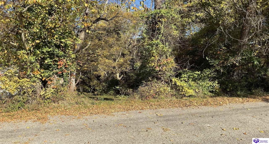 Sunset Drive, Hardinsburg, Kentucky 40143, ,For Sale,Sunset Drive,HK24004085