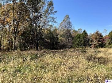 Warren Road, Mount Sherman, Kentucky 42764, ,For Sale,Warren Road,HK24004086