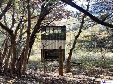 Warren Road, Mount Sherman, Kentucky 42764, ,For Sale,Warren Road,HK24004086