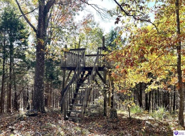 Warren Road, Mount Sherman, Kentucky 42764, ,For Sale,Warren Road,HK24004086