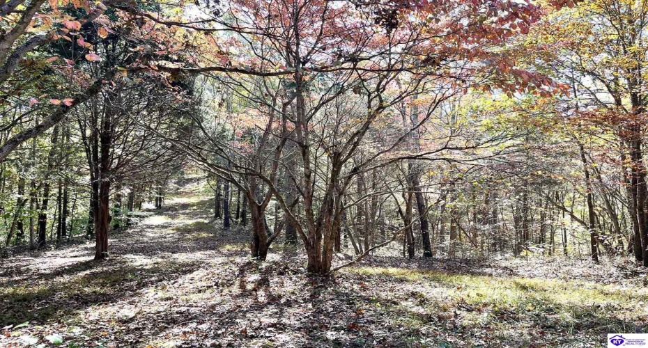 Warren Road, Mount Sherman, Kentucky 42764, ,For Sale,Warren Road,HK24004086