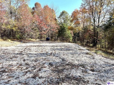 Warren Road, Mount Sherman, Kentucky 42764, ,For Sale,Warren Road,HK24004086