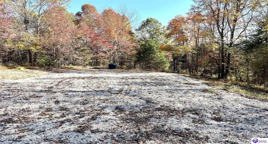 Warren Road, Mount Sherman, Kentucky 42764, ,For Sale,Warren Road,HK24004086