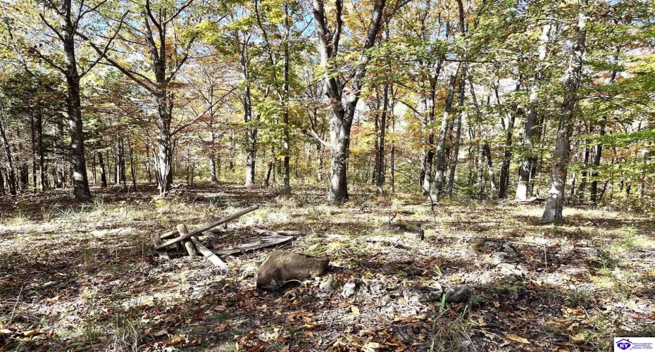 Warren Road, Mount Sherman, Kentucky 42764, ,For Sale,Warren Road,HK24004086