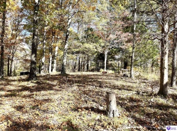 Warren Road, Mount Sherman, Kentucky 42764, ,For Sale,Warren Road,HK24004086