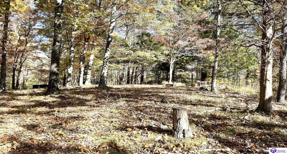 Warren Road, Mount Sherman, Kentucky 42764, ,For Sale,Warren Road,HK24004086