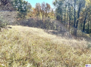 Warren Road, Mount Sherman, Kentucky 42764, ,For Sale,Warren Road,HK24004086