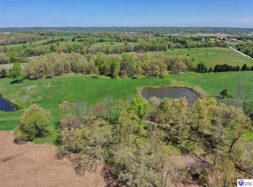 New Glendale Road, Elizabethtown, Kentucky 42701, ,For Sale,New Glendale Road,HK24004090