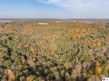 Hillcreek Drive, Elizabethtown, Kentucky 42701, ,For Sale,Hillcreek Drive,HK24004093