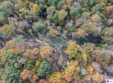 Hillcreek Drive, Elizabethtown, Kentucky 42701, ,For Sale,Hillcreek Drive,HK24004093