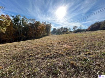 Hillcreek Drive, Elizabethtown, Kentucky 42701, ,For Sale,Hillcreek Drive,HK24004093