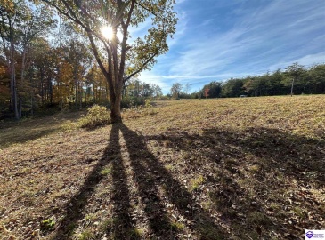 Hillcreek Drive, Elizabethtown, Kentucky 42701, ,For Sale,Hillcreek Drive,HK24004093