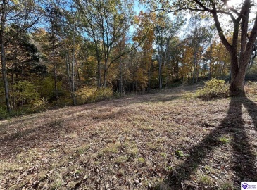 Hillcreek Drive, Elizabethtown, Kentucky 42701, ,For Sale,Hillcreek Drive,HK24004093