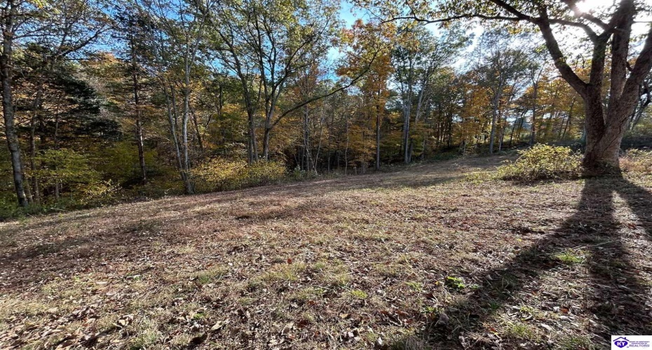 Hillcreek Drive, Elizabethtown, Kentucky 42701, ,For Sale,Hillcreek Drive,HK24004093