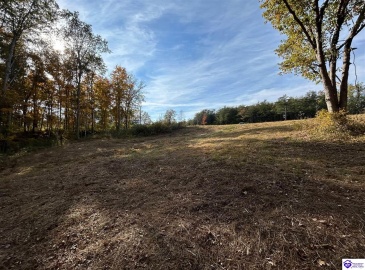 Hillcreek Drive, Elizabethtown, Kentucky 42701, ,For Sale,Hillcreek Drive,HK24004093