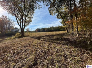 Hillcreek Drive, Elizabethtown, Kentucky 42701, ,For Sale,Hillcreek Drive,HK24004093