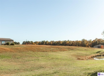 Owsley Road, Rineyville, Kentucky 40162, ,4 BathroomsBathrooms,For Sale,Owsley Road,HK24004087