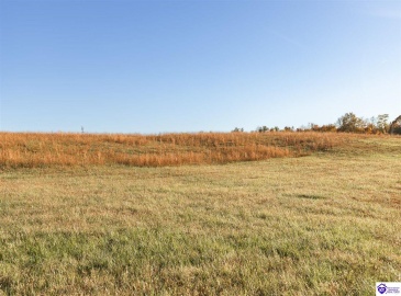 Owsley Road, Rineyville, Kentucky 40162, ,4 BathroomsBathrooms,For Sale,Owsley Road,HK24004087