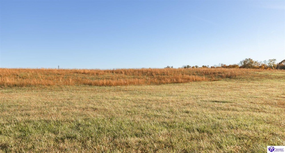 Owsley Road, Rineyville, Kentucky 40162, ,4 BathroomsBathrooms,For Sale,Owsley Road,HK24004087