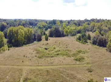 Center Point Road, White Mills, Kentucky 42788, ,For Sale,Center Point Road,HK24004099