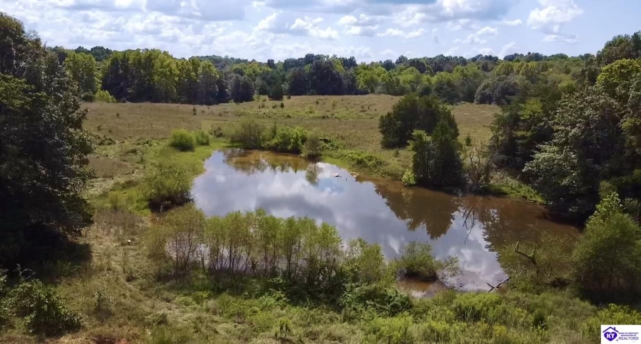 Center Point Road, White Mills, Kentucky 42788, ,For Sale,Center Point Road,HK24004099