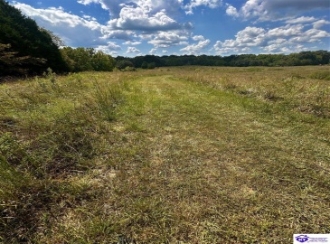 Center Point Road, White Mills, Kentucky 42788, ,For Sale,Center Point Road,HK24004099