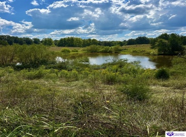 Center Point Road, White Mills, Kentucky 42788, ,For Sale,Center Point Road,HK24004099