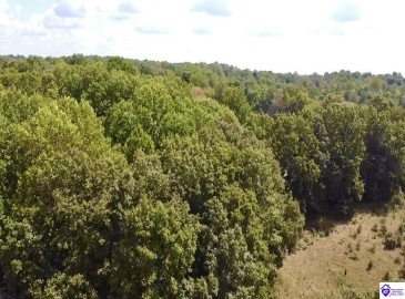 Center Point Road, White Mills, Kentucky 42788, ,For Sale,Center Point Road,HK24004099