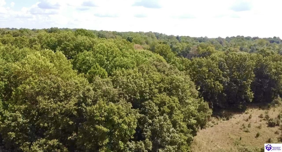 Center Point Road, White Mills, Kentucky 42788, ,For Sale,Center Point Road,HK24004099