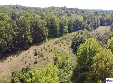 Center Point Road, White Mills, Kentucky 42788, ,For Sale,Center Point Road,HK24004099