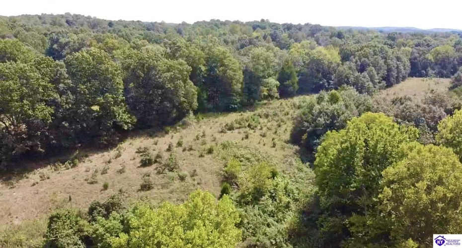 Center Point Road, White Mills, Kentucky 42788, ,For Sale,Center Point Road,HK24004099