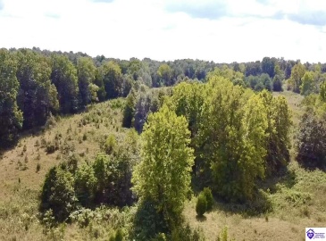 Center Point Road, White Mills, Kentucky 42788, ,For Sale,Center Point Road,HK24004099