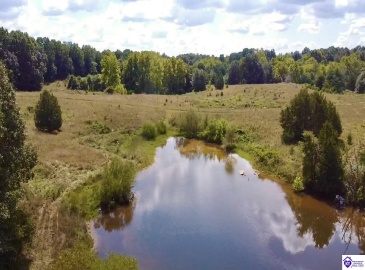 Center Point Road, White Mills, Kentucky 42788, ,For Sale,Center Point Road,HK24004099