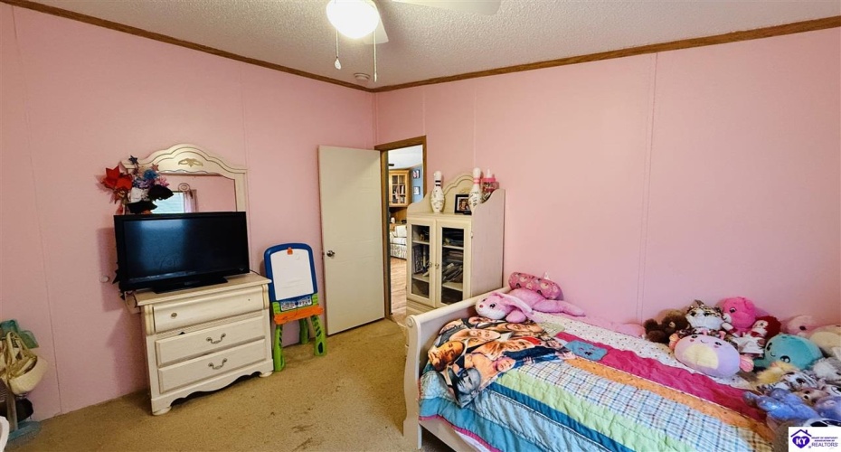 Miller Road, Campbellsville, Kentucky 42718, ,2 BathroomsBathrooms,For Sale,Miller Road,HK24004102