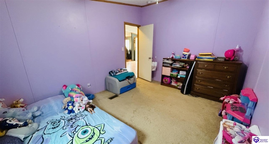 Miller Road, Campbellsville, Kentucky 42718, ,2 BathroomsBathrooms,For Sale,Miller Road,HK24004102