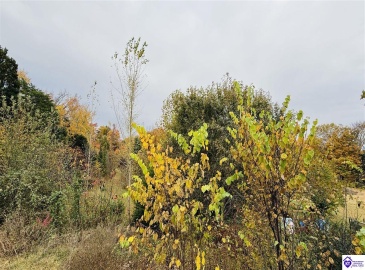 Miller Road, Campbellsville, Kentucky 42718, ,2 BathroomsBathrooms,For Sale,Miller Road,HK24004102 Miller Road, Campbellsville, Kentucky 42718, ,2 BathroomsBathrooms,For Sale,Miller Road,HK24004102