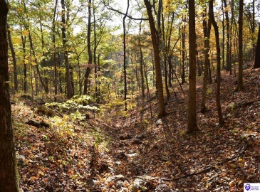 Battle Training Road, Elizabethtown, Kentucky 42701, ,1 BathroomBathrooms,For Sale,Battle Training Road,HK24004103 Battle Training Road, Elizabethtown, Kentucky 42701, ,1 BathroomBathrooms,For Sale,Battle Training Road,HK24004103