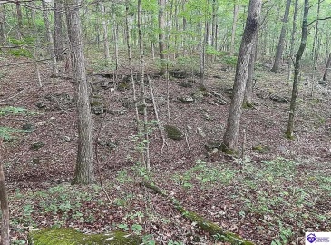 Battle Training Road, Elizabethtown, Kentucky 42701, ,1 BathroomBathrooms,For Sale,Battle Training Road,HK24004103 Battle Training Road, Elizabethtown, Kentucky 42701, ,1 BathroomBathrooms,For Sale,Battle Training Road,HK24004103