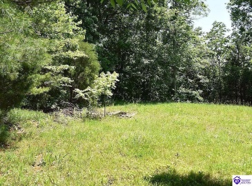 Battle Training Road, Elizabethtown, Kentucky 42701, ,1 BathroomBathrooms,For Sale,Battle Training Road,HK24004103 Battle Training Road, Elizabethtown, Kentucky 42701, ,1 BathroomBathrooms,For Sale,Battle Training Road,HK24004103