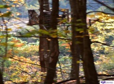 Battle Training Road, Elizabethtown, Kentucky 42701, ,1 BathroomBathrooms,For Sale,Battle Training Road,HK24004103 Battle Training Road, Elizabethtown, Kentucky 42701, ,1 BathroomBathrooms,For Sale,Battle Training Road,HK24004103