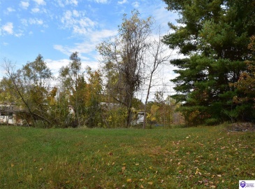 Battle Training Road, Elizabethtown, Kentucky 42701, ,1 BathroomBathrooms,For Sale,Battle Training Road,HK24004103 Battle Training Road, Elizabethtown, Kentucky 42701, ,1 BathroomBathrooms,For Sale,Battle Training Road,HK24004103