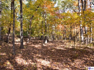 Battle Training Road, Elizabethtown, Kentucky 42701, ,1 BathroomBathrooms,For Sale,Battle Training Road,HK24004103 Battle Training Road, Elizabethtown, Kentucky 42701, ,1 BathroomBathrooms,For Sale,Battle Training Road,HK24004103