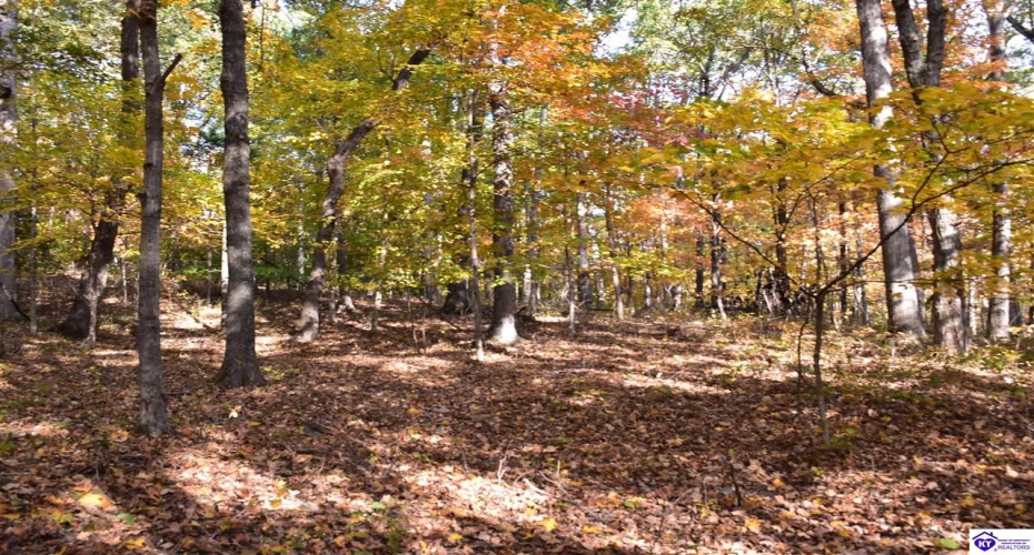 Battle Training Road, Elizabethtown, Kentucky 42701, ,1 BathroomBathrooms,For Sale,Battle Training Road,HK24004103