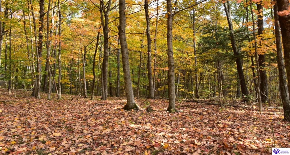 Battle Training Road, Elizabethtown, Kentucky 42701, ,1 BathroomBathrooms,For Sale,Battle Training Road,HK24004103